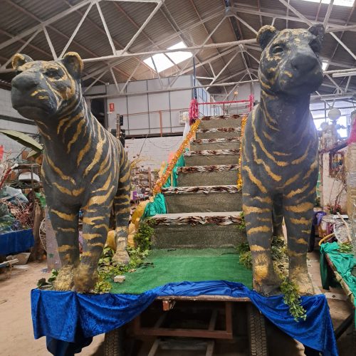 TIGRES FRONTAL