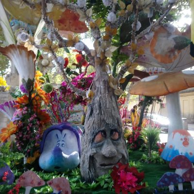 bosque encantado
